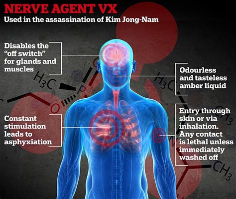 vx gas effects|symptoms of vx nerve agent.